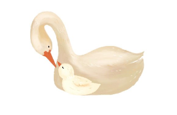 Mom and Baby Swans, Watercolor